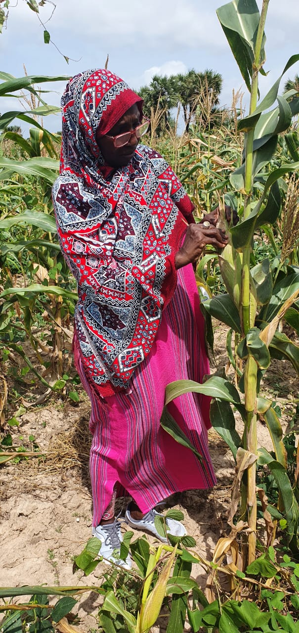 Activités agricoles